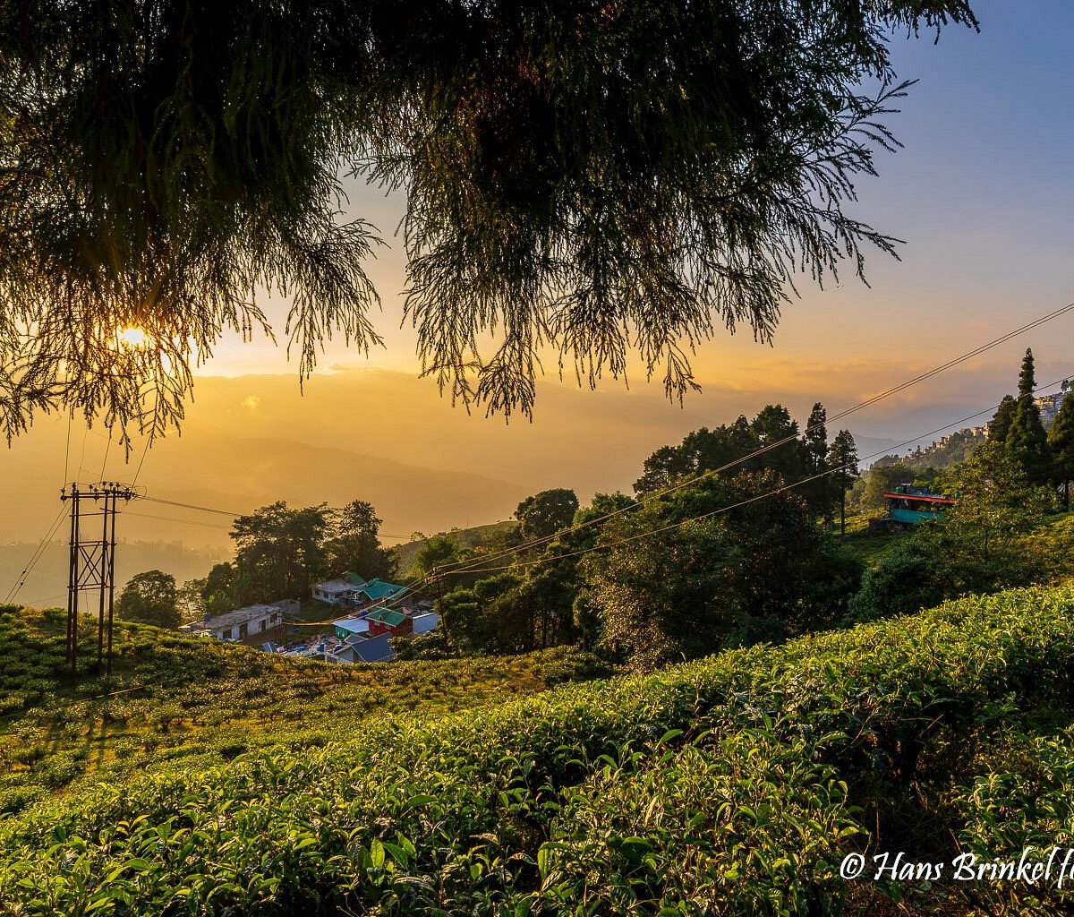 Patna to Darjeeling